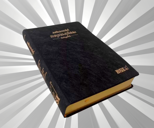 Malayalam - Bible - Classic Plus PL Gilt NF R/L Yapp (Amity)