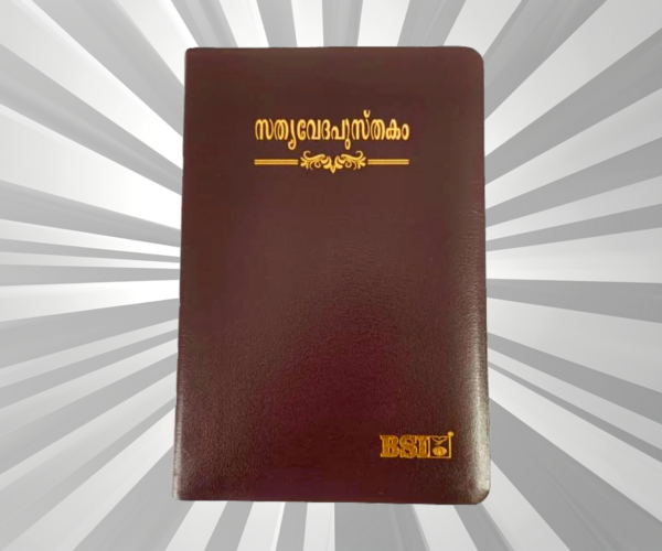 Malayalam Bible Regular Brown BL Yapp (NAP)