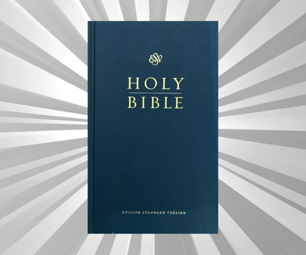 English - Bible - ESV Slimline HB