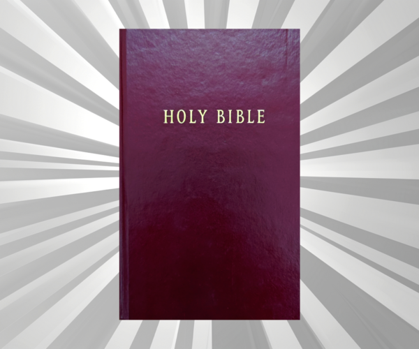 English - Bible - NLT - HB Brown