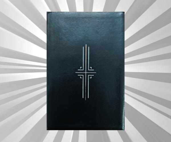 English - Bible - NLT - PU Black
