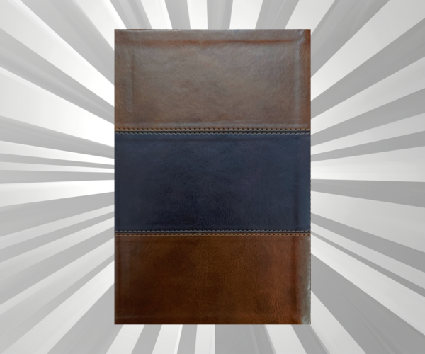 English - CSB - Bible (Giant Size)