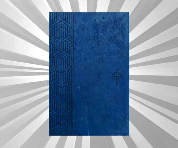 English - Handy Bible - NLT (Blue)