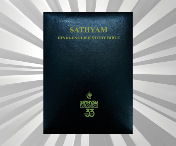 English - Hindi - Bilingual Study Bible Zip