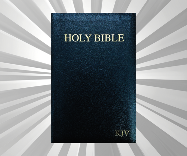 English - KJV - Medium Size Bible - BL Zip - Black