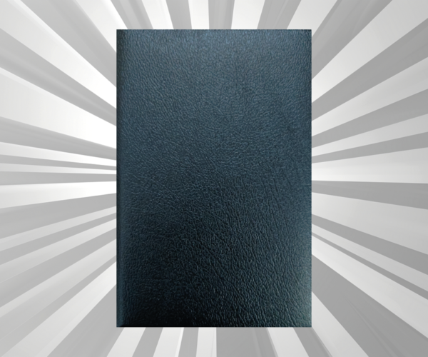 English - KJV - Slim Compact Bible (Zip)