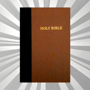 English - KJV Thinline Bible - Large Print - HB