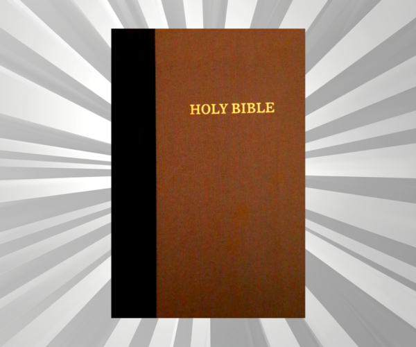 English - KJV Thinline Bible - Large Print - HB