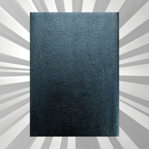 English - NKJV - Scofield Study Bible