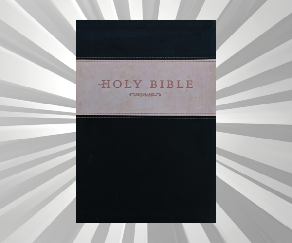 English - NLT - PU Black - Study Bible (Large Print)
