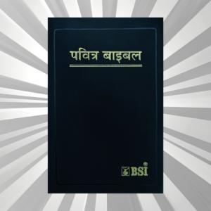 Hindi - Bible - OV PL Red Edge