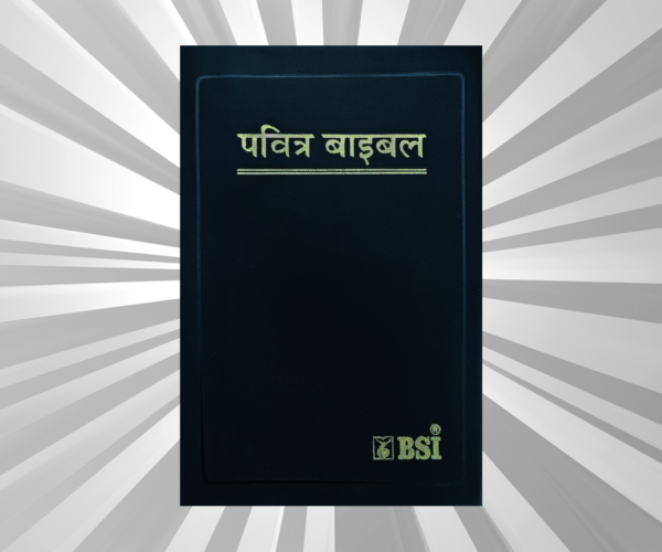 Hindi - Bible - OV PL Red Edge