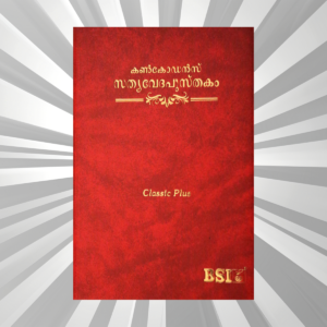 Malayalam Bible Classic Regular Local Vinyl Burgundy Yapp (NAP)