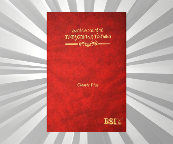 Malayalam Bible Classic Regular Local Vinyl Burgundy Yapp (NAP)