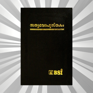 Malayalam - Bible - Compact Black BL Gilt Yapp