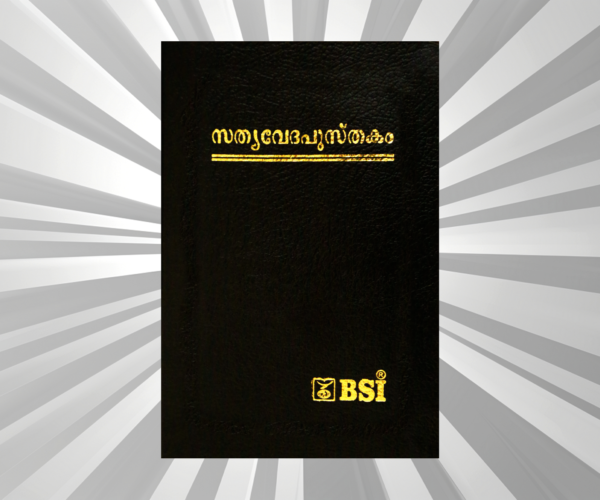 Malayalam - Bible - Compact Black BL Gilt Yapp