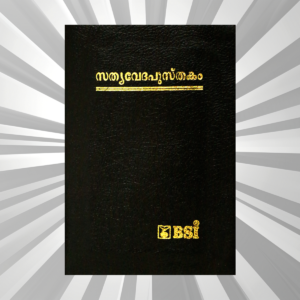 Malayalam - Bible - Compact Black BL Gilt Zip