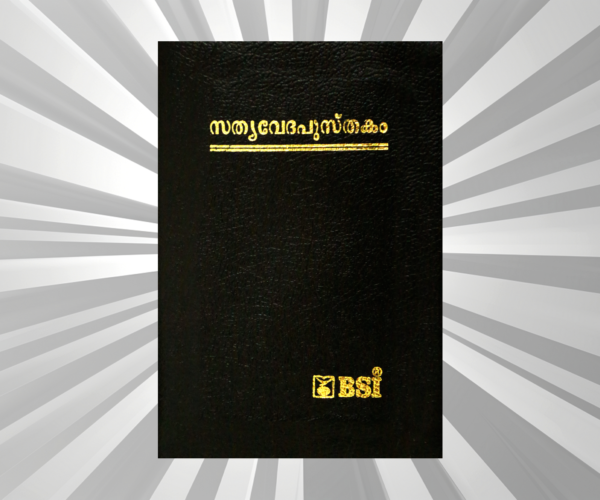 Malayalam - Bible - Compact Black BL Gilt Zip