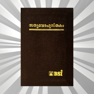 Malayalam - Bible - Compact Burgundy BL Gilt Yapp