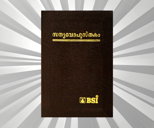 Malayalam - Bible - Compact Burgundy BL Gilt Yapp