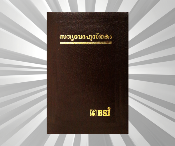 Malayalam - Bible - Compact Burgundy BL Gilt Zip