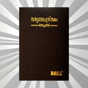 Malayalam Bible Compact Burgundy BL Yapp (NAP)