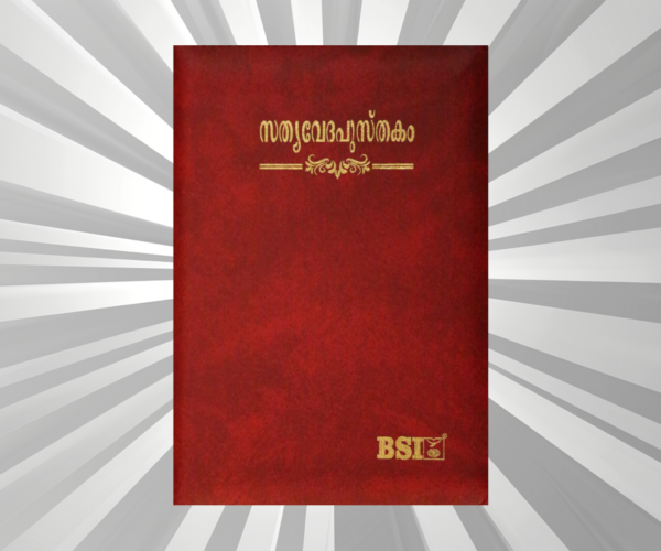 Malayalam Bible Compact Burgundy Vinyl Zipper (NAP)