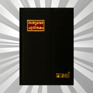 Malayalam - Bible - Compact Gilt Mag. Flap