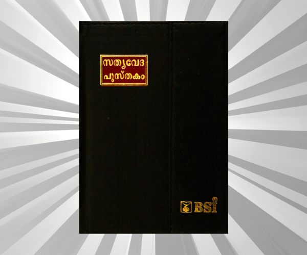 Malayalam - Bible - Compact Gilt Mag. Flap