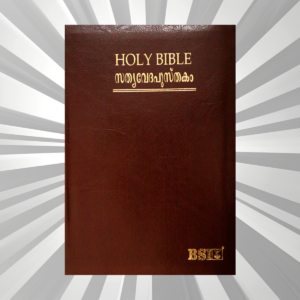 Malayalam - Bible - OV 45 ZTI BL N/F (KBS)