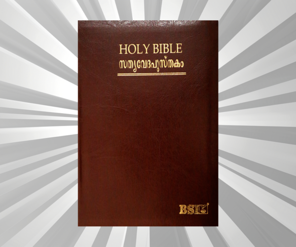 Malayalam - Bible - OV 45 ZTI BL N/F (KBS)