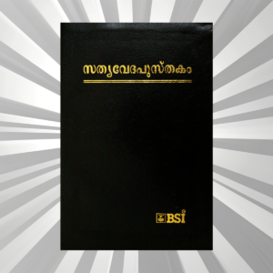 Malayalam - Bible - OV Dy N/F Royal BL Gilt Yaap