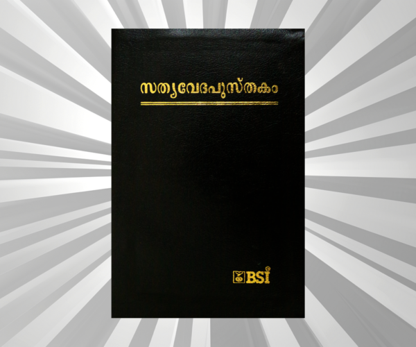 Malayalam - Bible - OV Dy N/F Royal BL Gilt Yaap
