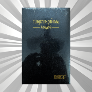 Malayalam Bible Regular Black BL TI Yapp (NAP)