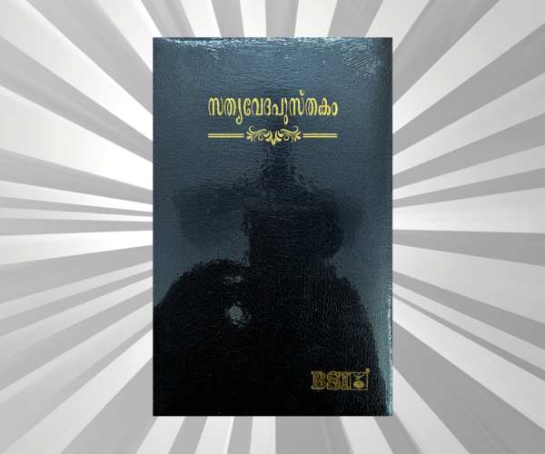 Malayalam Bible Regular Black BL TI Yapp (NAP)
