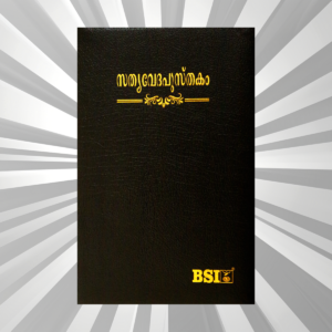 Malayalam Bible Regular Black BL Yapp (NAP)