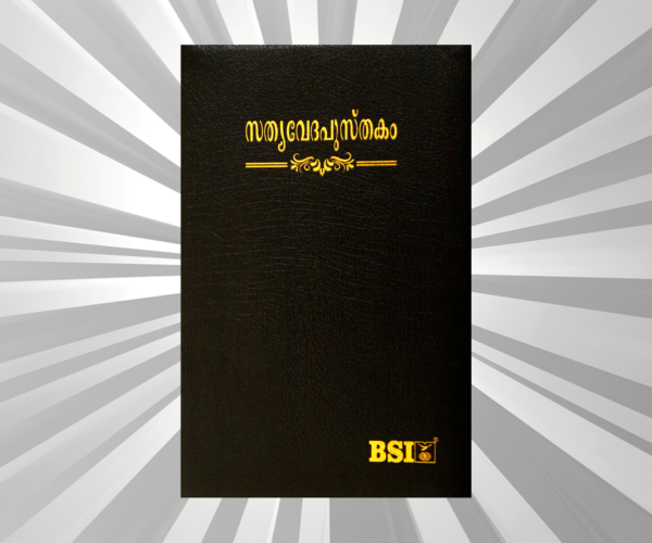 Malayalam Bible Regular Black BL Yapp (NAP)