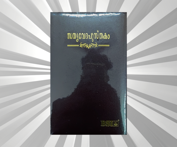 Malayalam Bible Regular Burgundy BL Yapp (NAP)