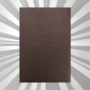 Malayalam - Daniel Bible - Comfort Print - LB - Brown