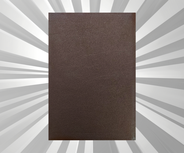 Malayalam - Daniel Bible - Comfort Print - LB - Brown