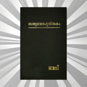 Malayalam - Bible - OV BL NF Dy RL Gilt Zip