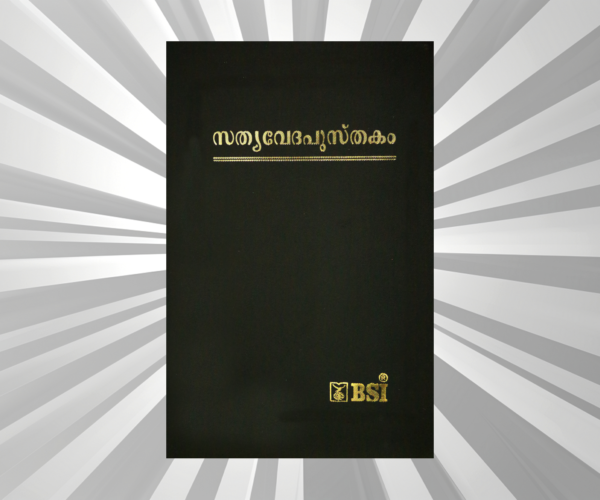 Malayalam - Bible - OV BL NF Dy RL Gilt Zip