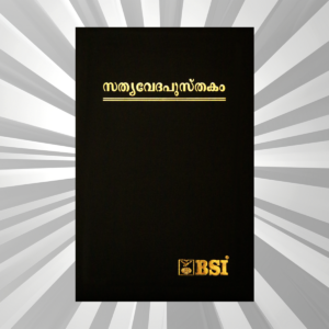Malayalam - OV Re-Edited PL Gilt Zip Dy