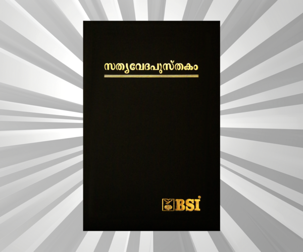 Malayalam - OV Re-Edited PL Gilt Zip Dy